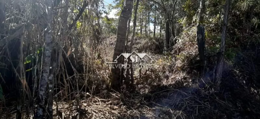 Terreno, 1 hectares - Foto 10