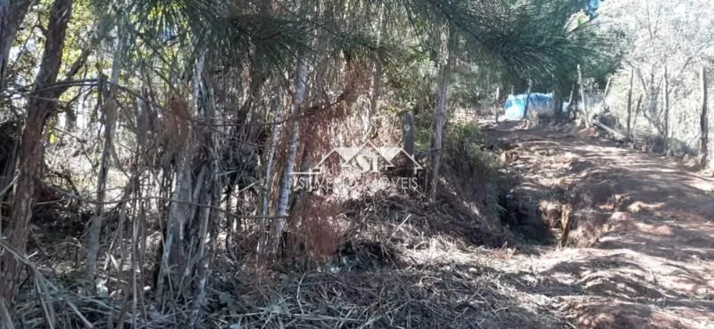 Terreno, 1 hectares - Foto 13