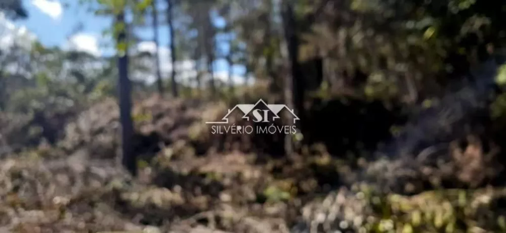 Terreno, 1 hectares - Foto 12