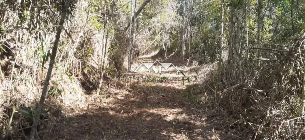 Terreno, 1 hectares - Foto 1