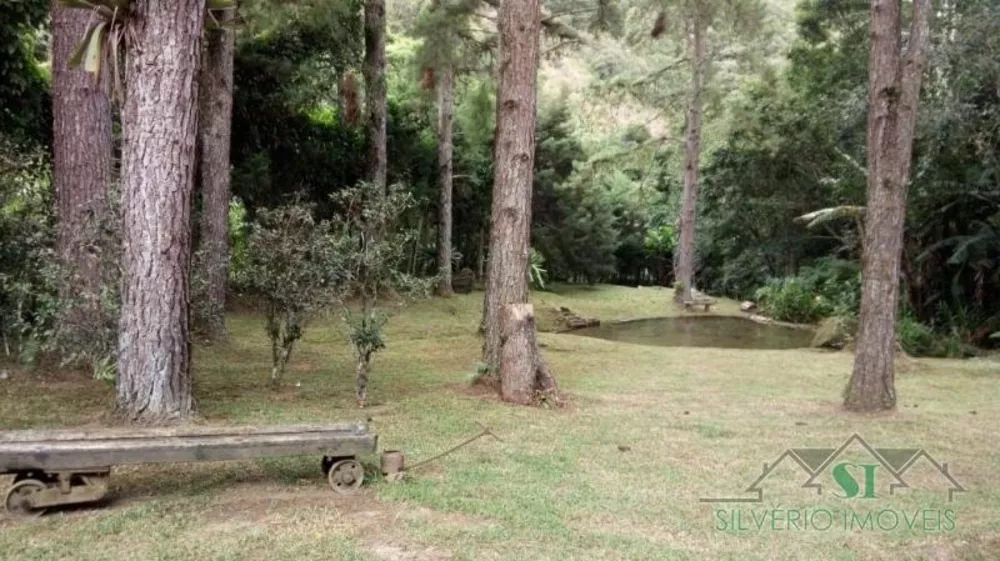 Sítio, 3 quartos, 3800 m² - Foto 25