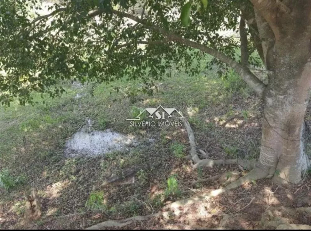 Sítio, 2 quartos, 6 hectares - Foto 15