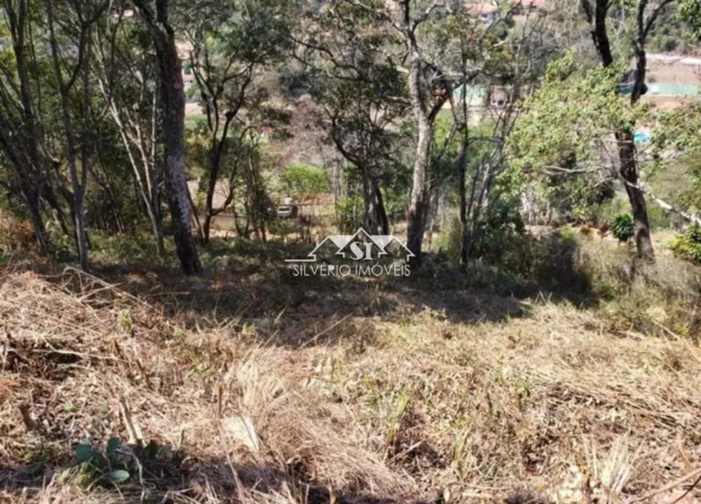 Terreno, 1155 m² - Foto 6