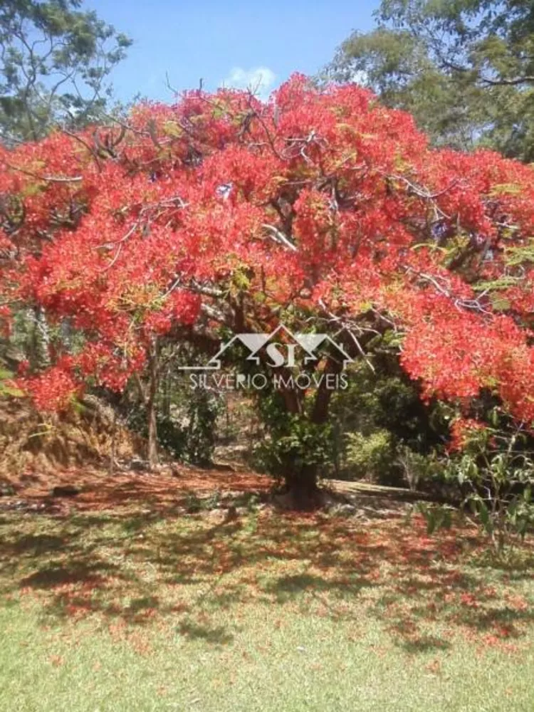 Sítio, 3 quartos, 18 hectares - Foto 6