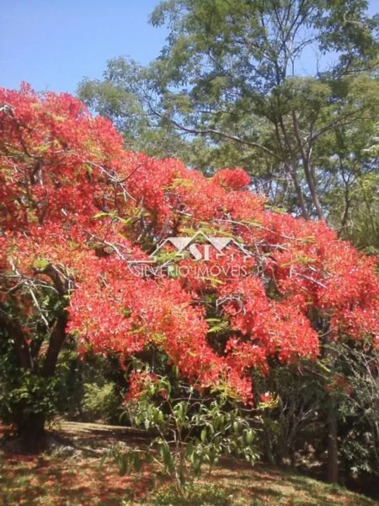 Sítio, 3 quartos, 18 hectares - Foto 4