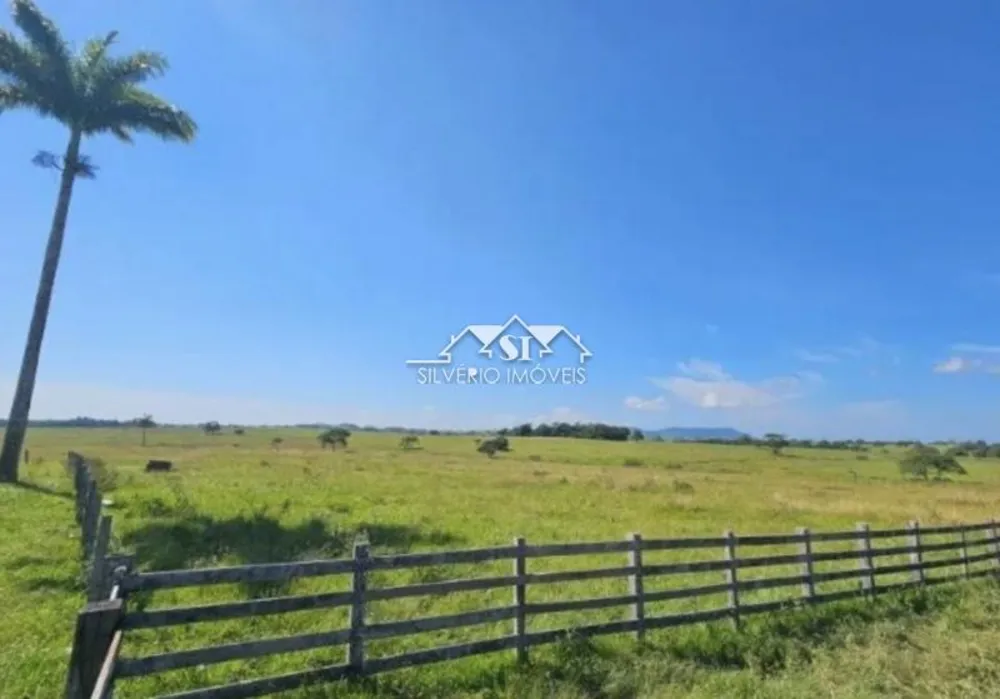 Fazenda, 280 hectares - Foto 3