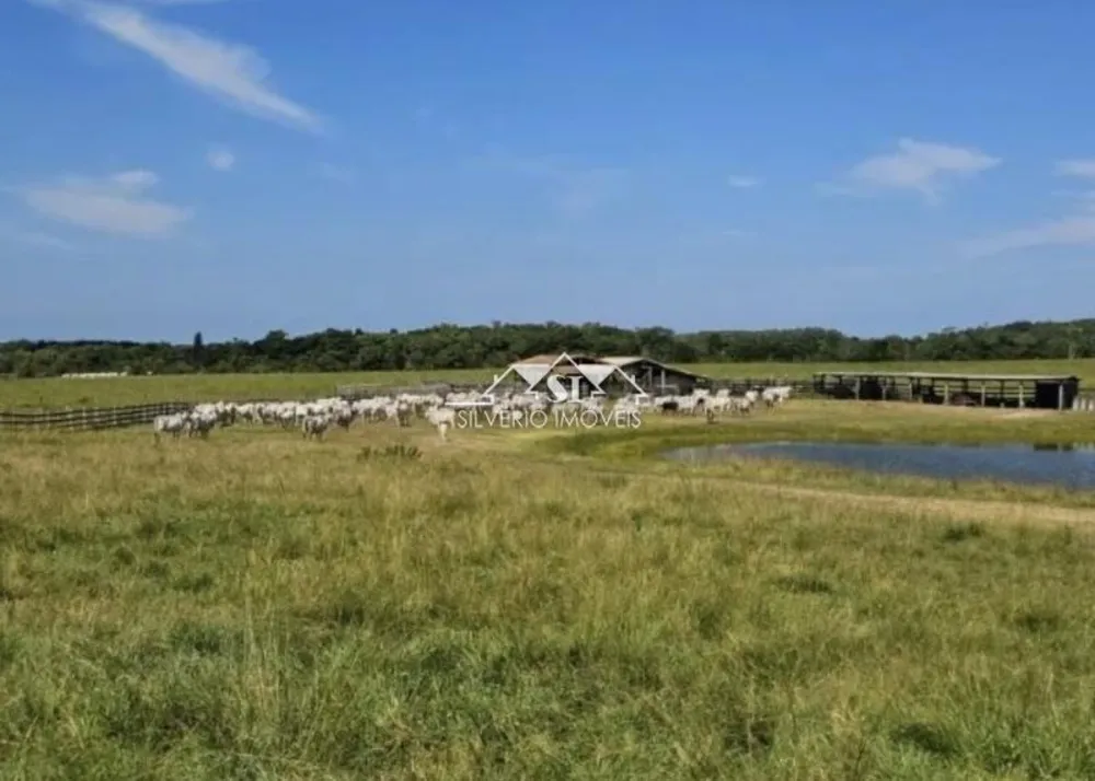 Fazenda, 280 hectares - Foto 1
