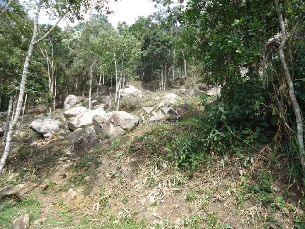 Terreno, 4000 m² - Foto 1