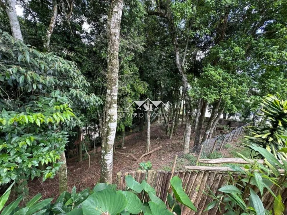 Terreno, 1560 m² - Foto 6