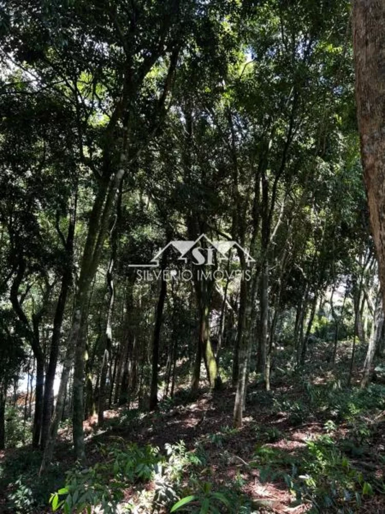 Terreno, 1560 m² - Foto 10