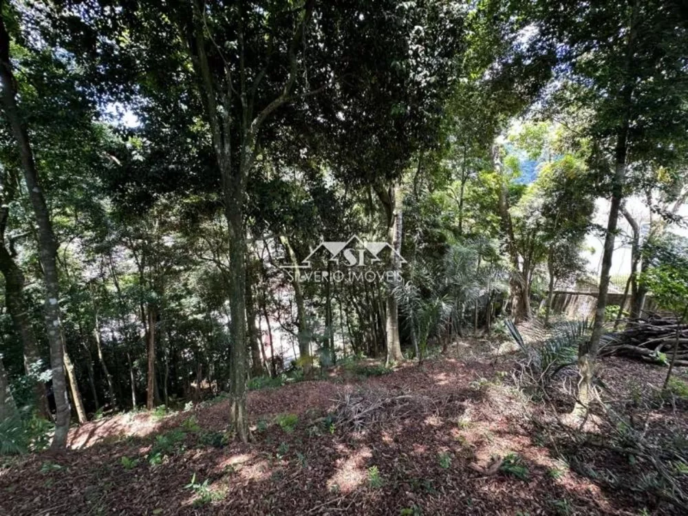 Terreno, 1560 m² - Foto 2