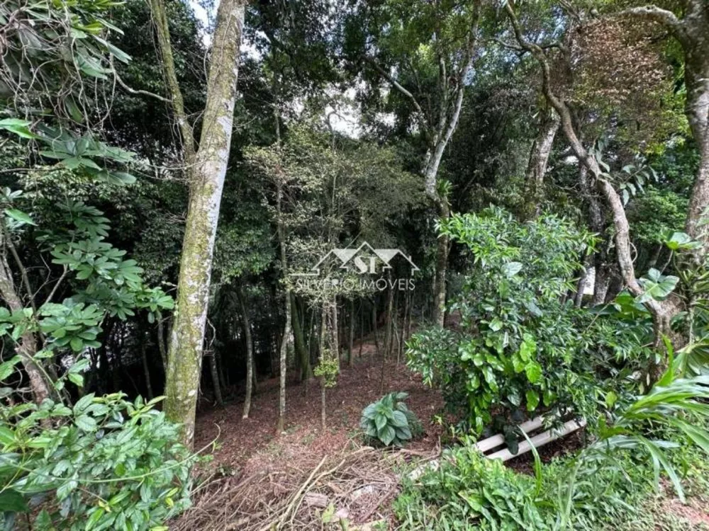 Terreno, 1560 m² - Foto 7