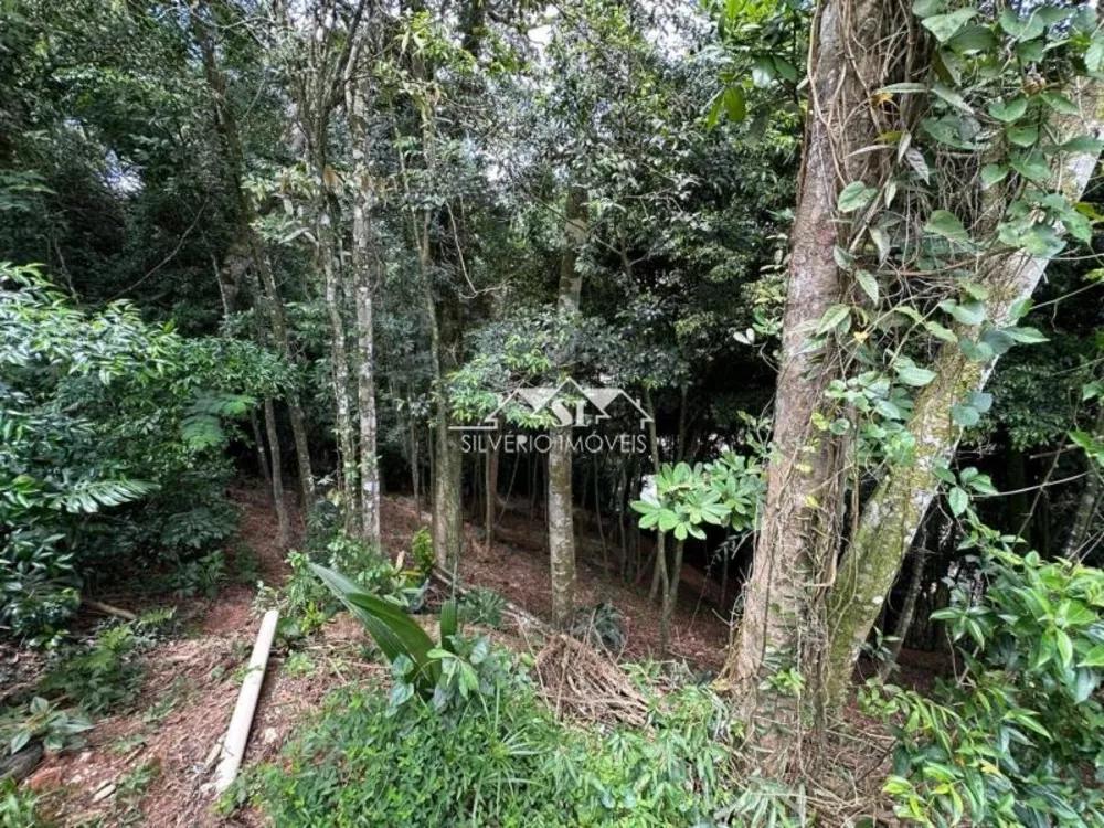 Terreno, 1560 m² - Foto 8