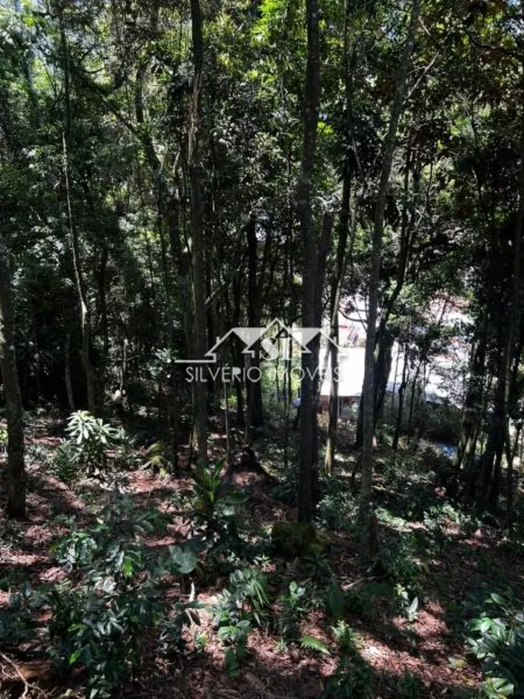 Terreno, 1560 m² - Foto 11