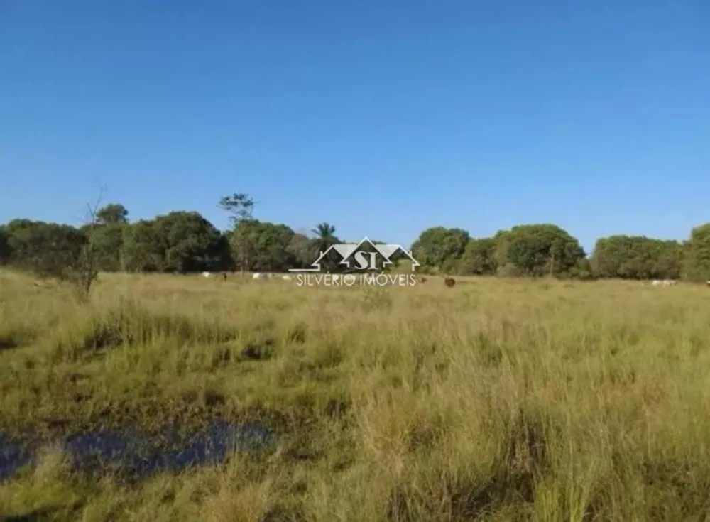 Terreno, 30 hectares - Foto 3