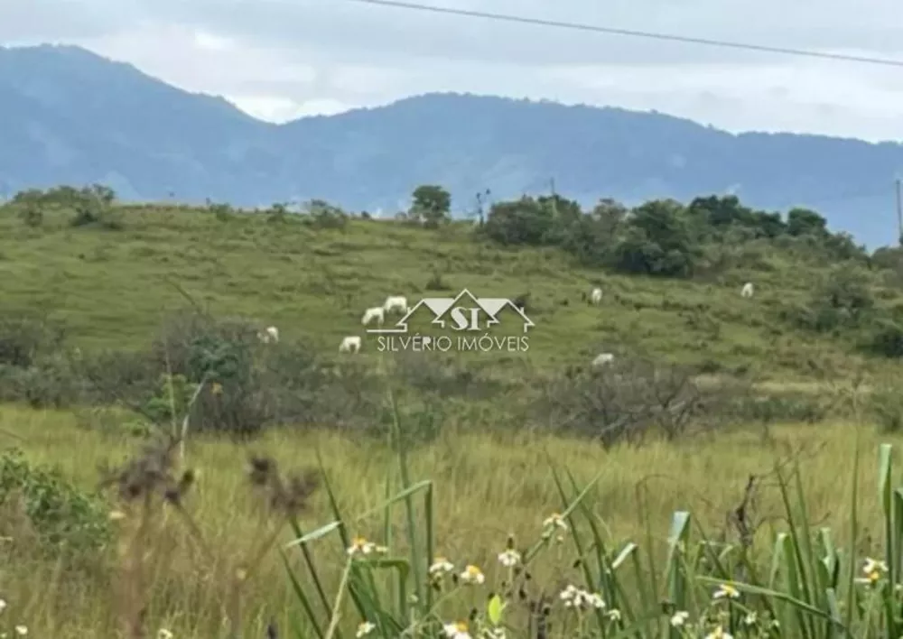 Terreno, 30 hectares - Foto 2