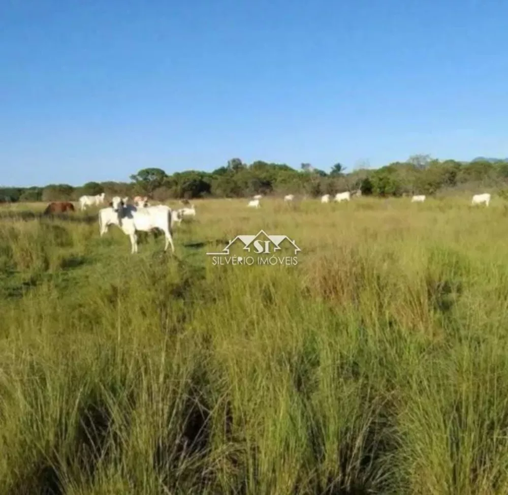 Terreno, 30 hectares - Foto 1