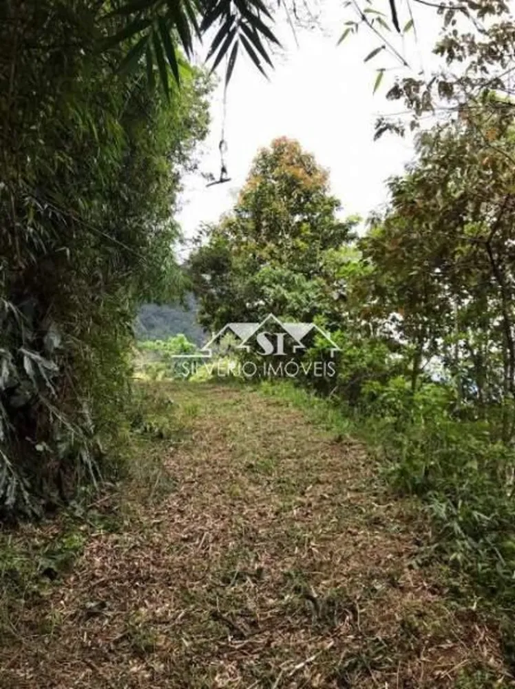 Terreno, 6 hectares - Foto 3