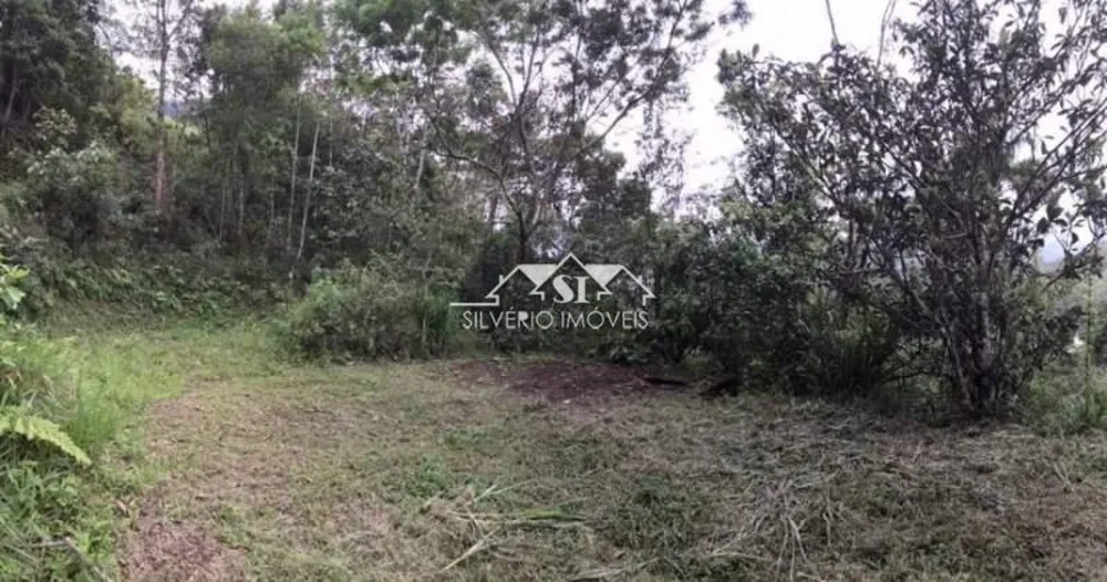 Terreno, 6 hectares - Foto 7