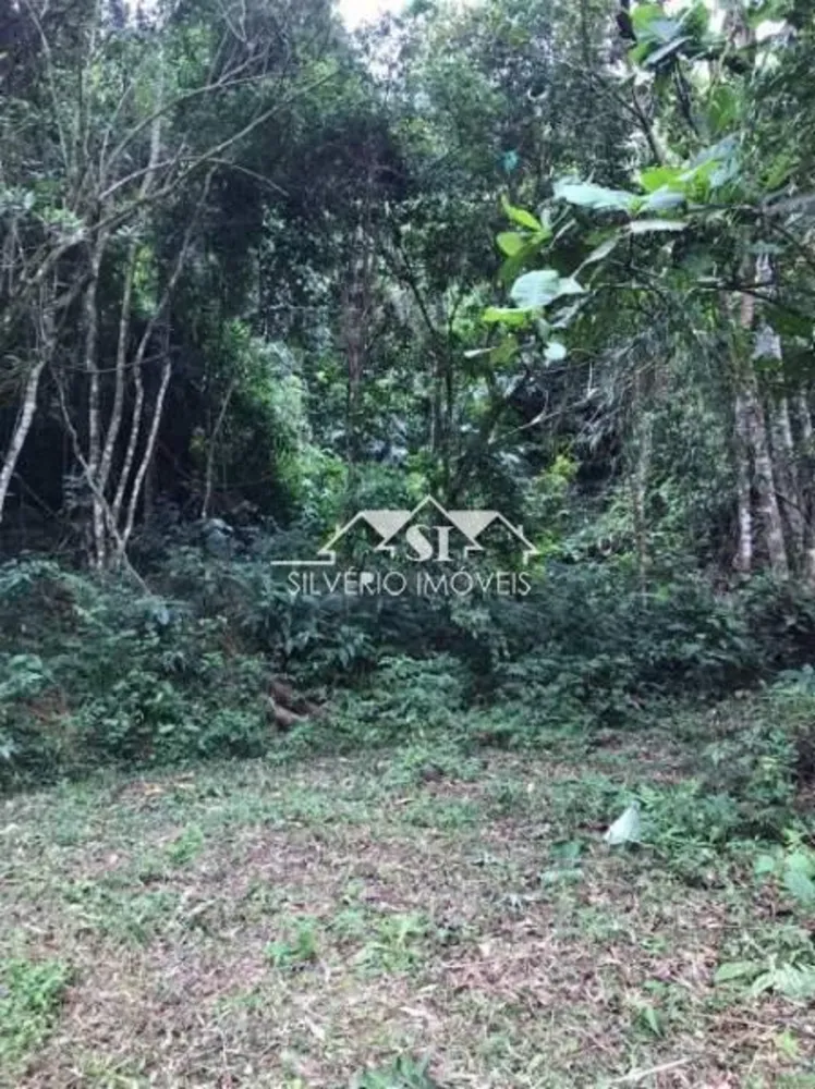 Terreno, 6 hectares - Foto 4