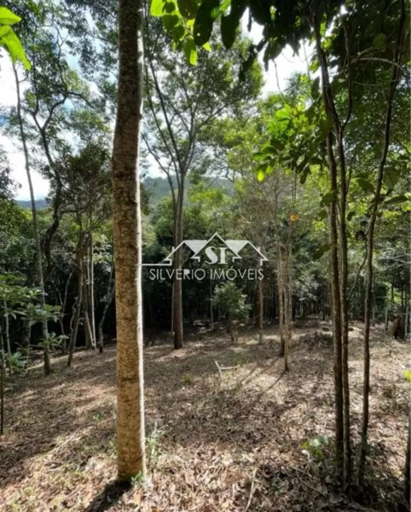 Terreno, 2000 m² - Foto 6