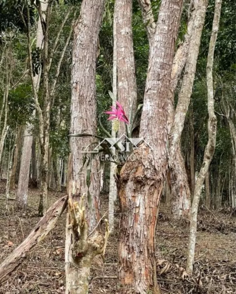 Terreno, 2000 m² - Foto 4