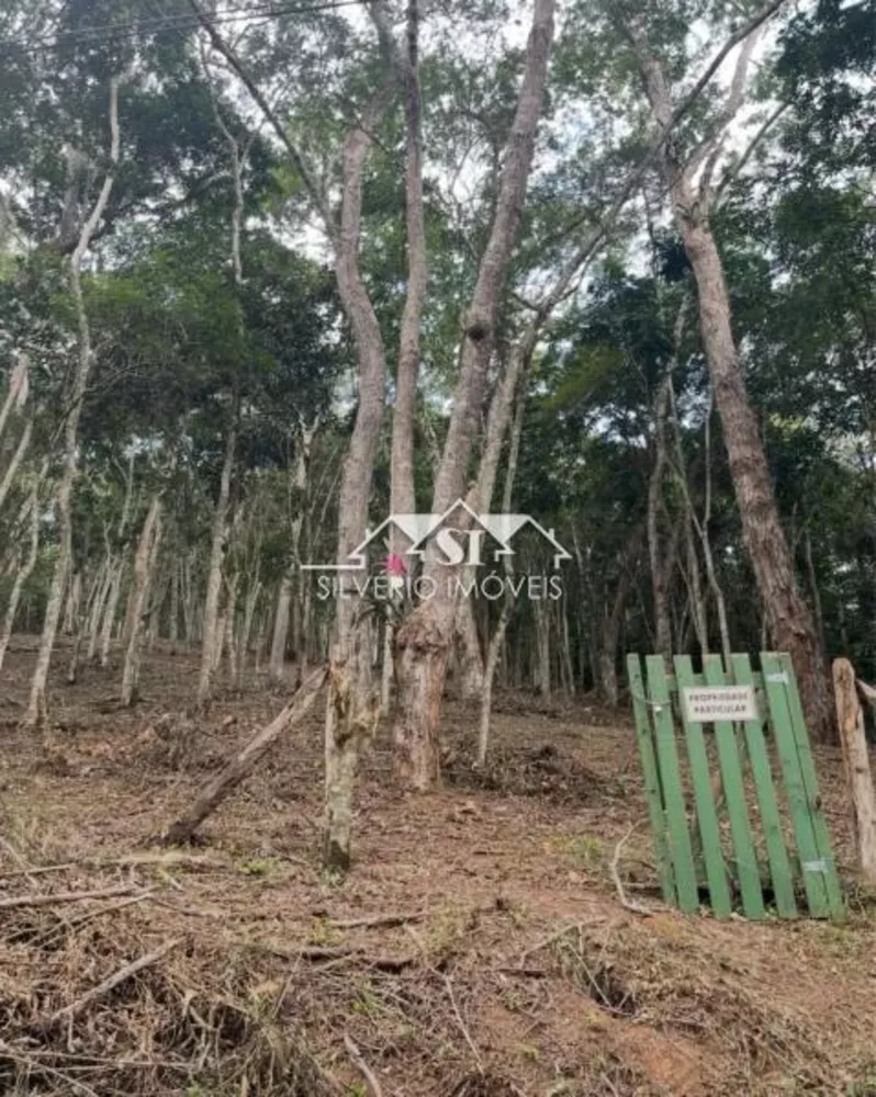 Terreno, 2000 m² - Foto 3