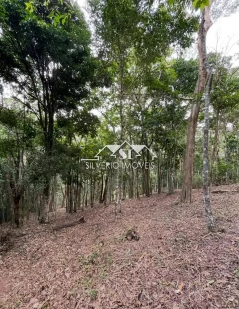 Terreno, 2000 m² - Foto 1