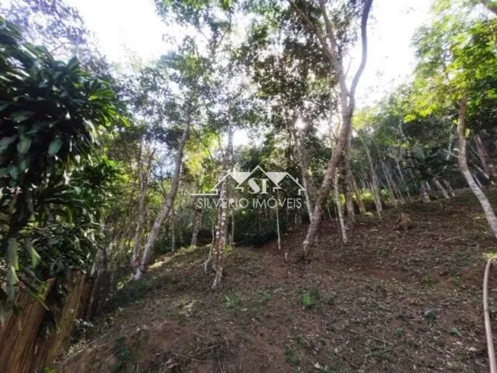 Terreno, 2590 m² - Foto 6