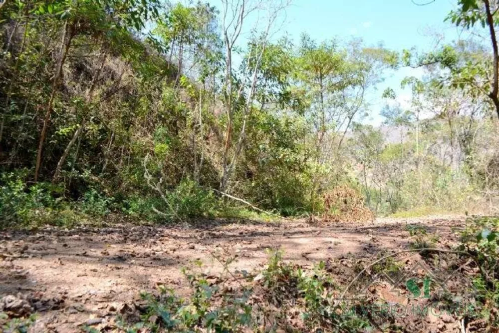 Terreno, 13 hectares - Foto 2
