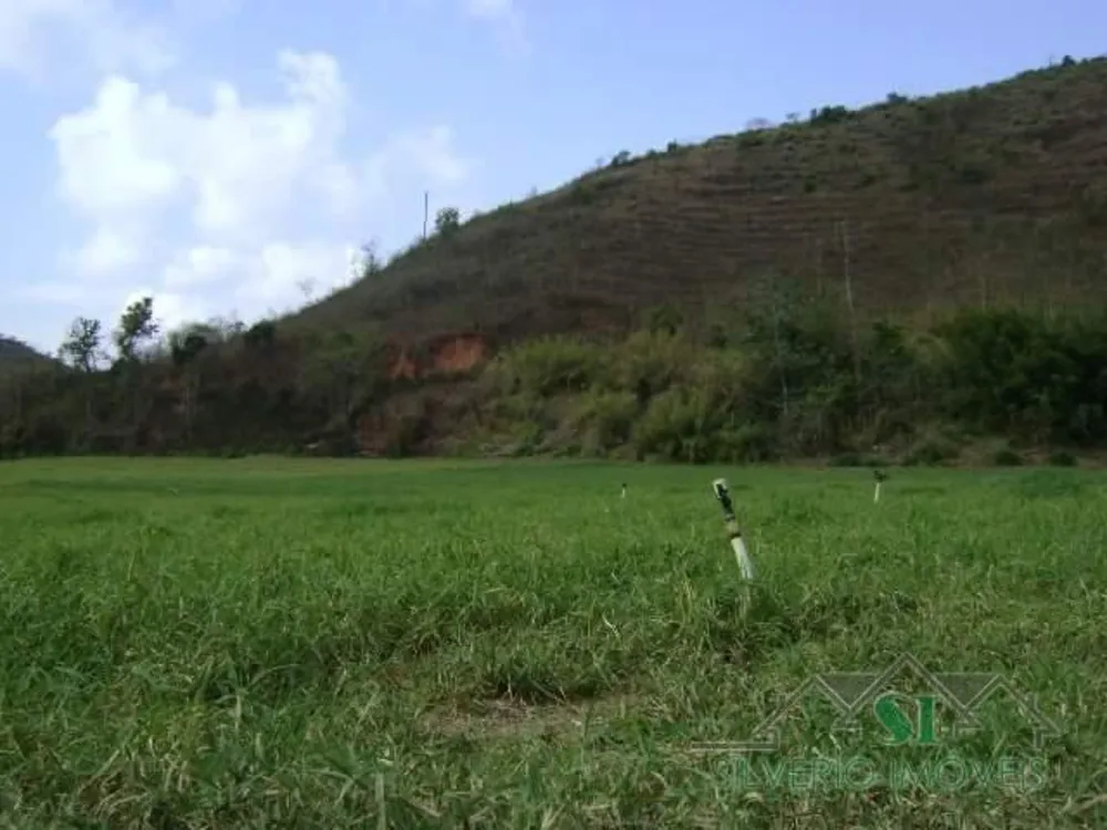 Fazenda, 8 hectares - Foto 8