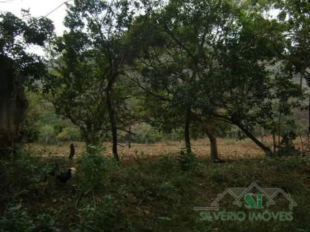 Fazenda, 8 hectares - Foto 4