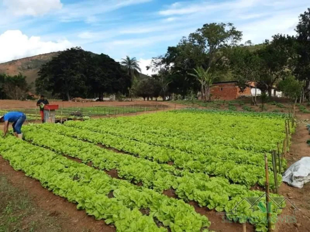 Fazenda, 8 hectares - Foto 1