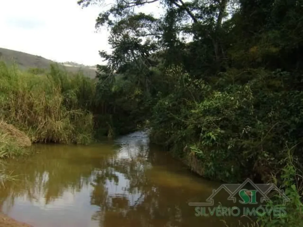 Fazenda, 8 hectares - Foto 7