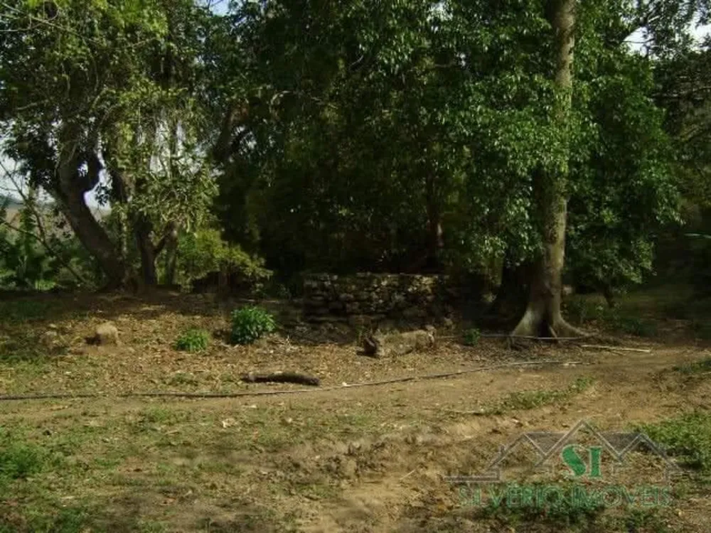 Fazenda, 8 hectares - Foto 6