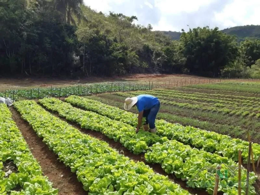 Fazenda, 8 hectares - Foto 2