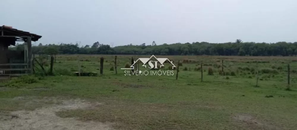 Fazenda, 65 hectares - Foto 1