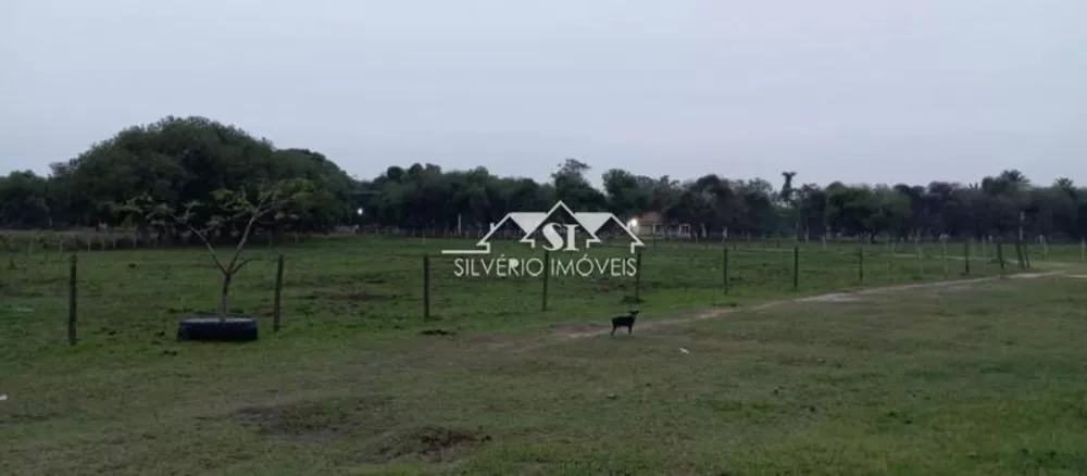 Fazenda, 65 hectares - Foto 2