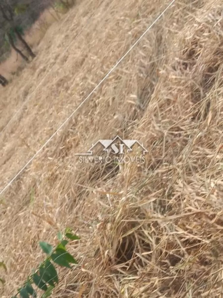 Terreno, 3700 m² - Foto 2