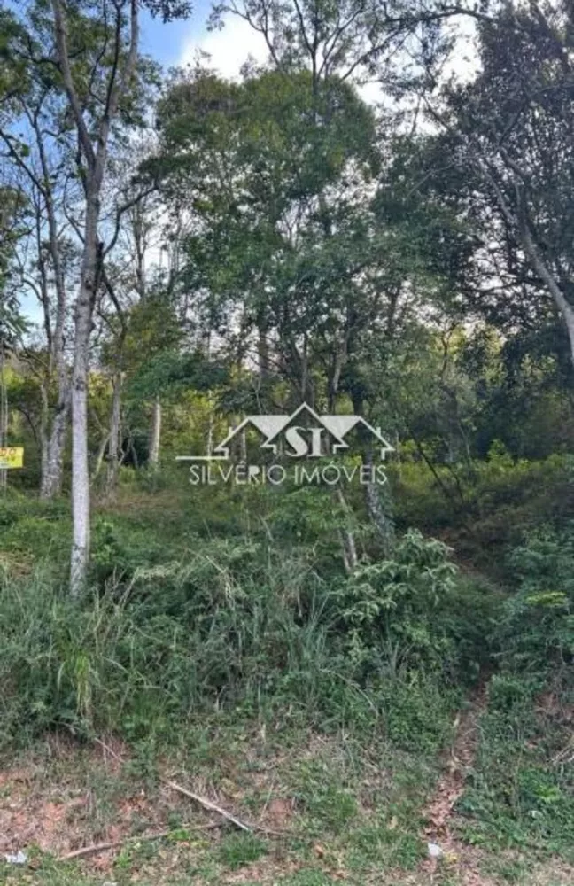 Terreno, 729 m² - Foto 5