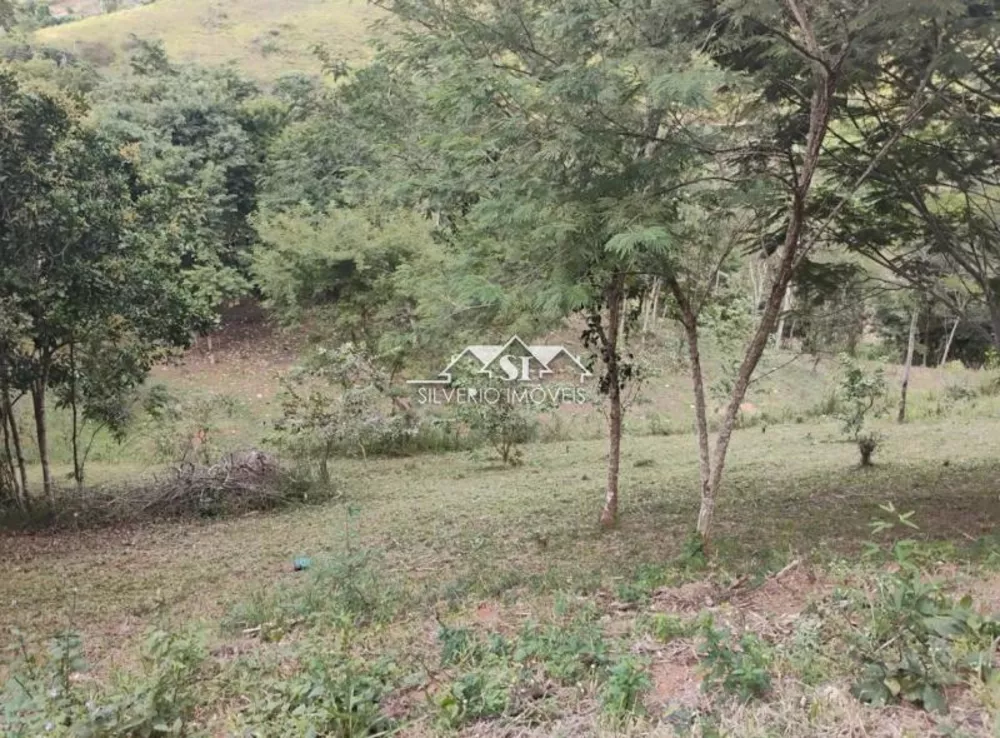 Terreno, 22 hectares - Foto 9