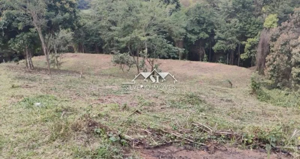 Terreno, 22 hectares - Foto 6