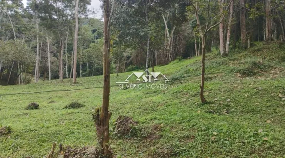Terreno, 22 hectares - Foto 3