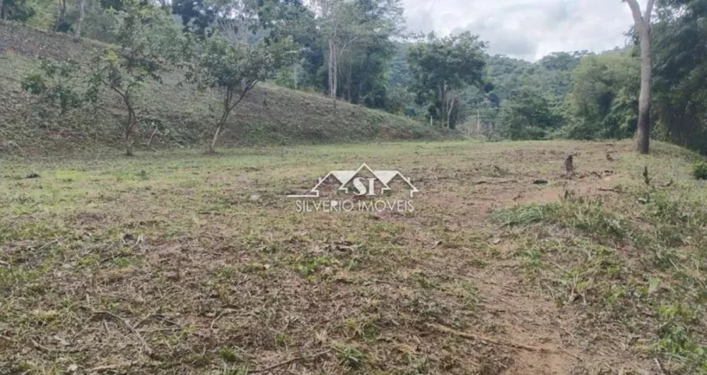 Terreno, 22 hectares - Foto 4
