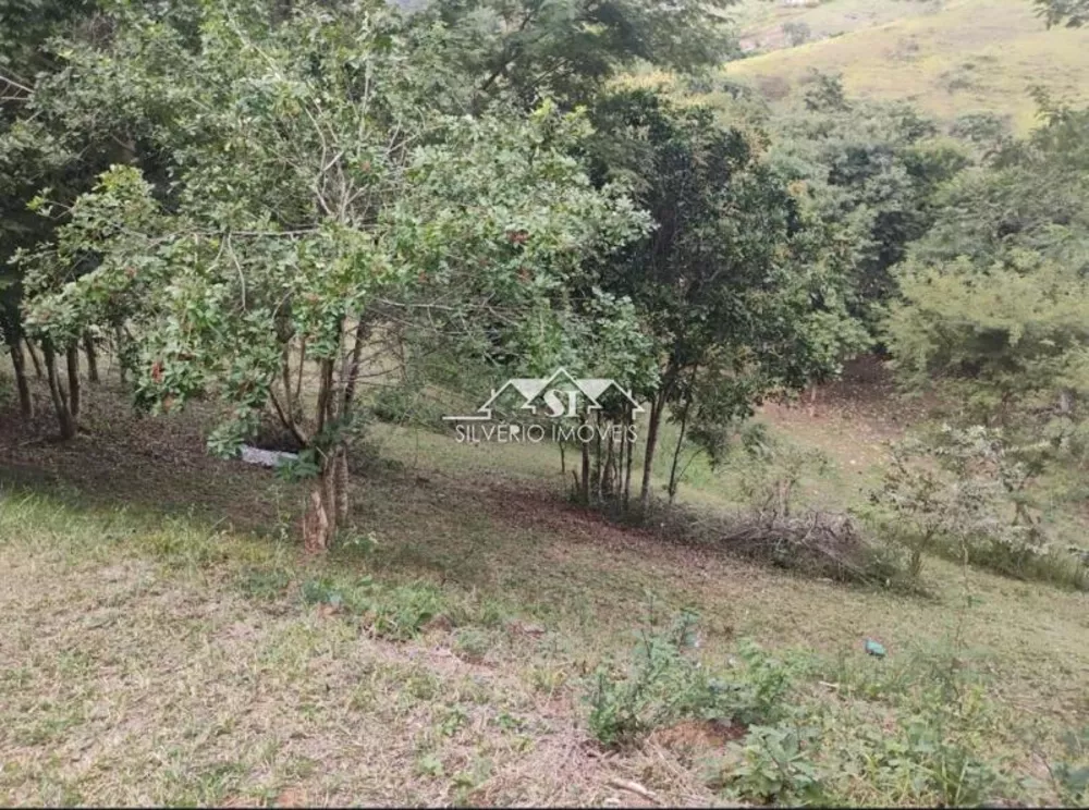 Terreno, 22 hectares - Foto 8
