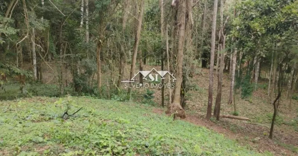 Terreno, 22 hectares - Foto 14