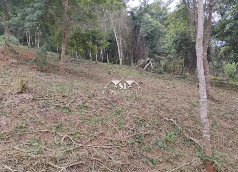 Terreno, 22 hectares - Foto 7
