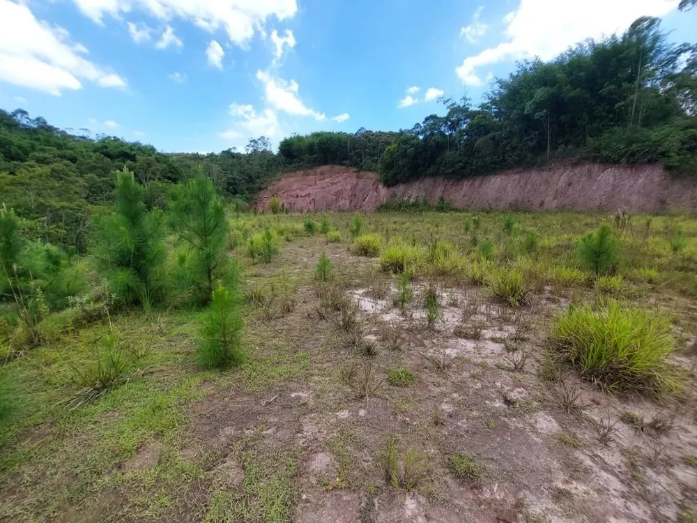 Terreno, 2 hectares - Foto 17