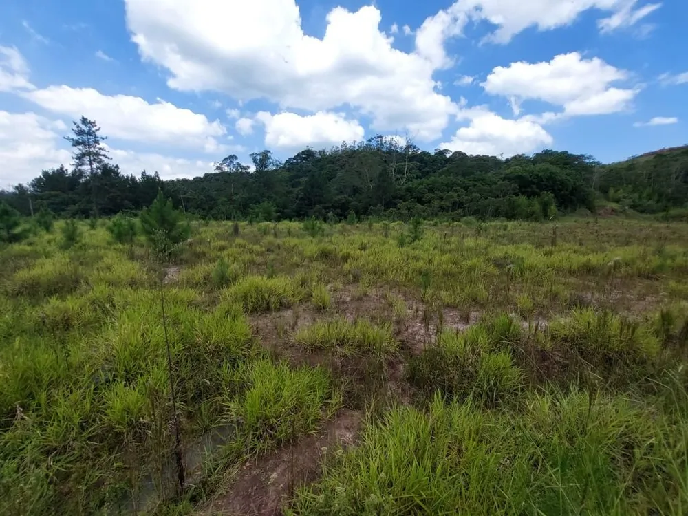 Terreno, 2 hectares - Foto 18