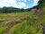 Terreno, 2 hectares - Foto 1